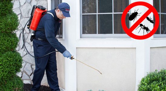 Köşk Bit İlaçlama böcek ilaçlama ve haşere kontrolü — ilaclama-tr.com